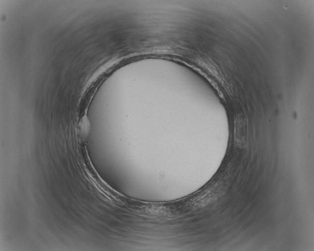 X0000083611452200703051531