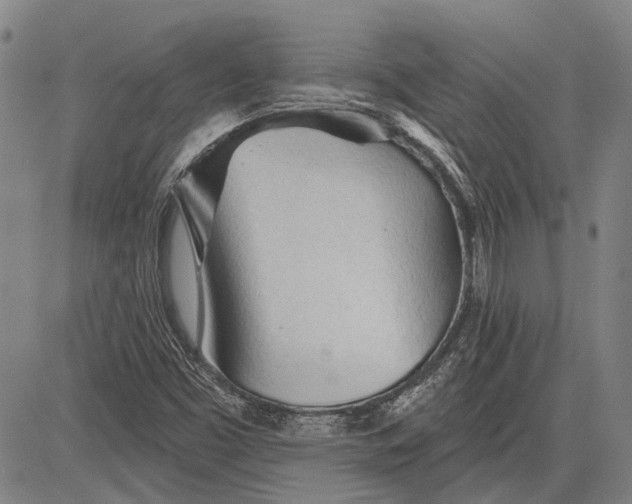 X0000083611453200703051531