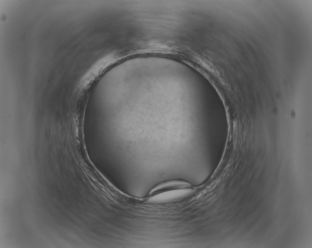 X0000083611455200703051531