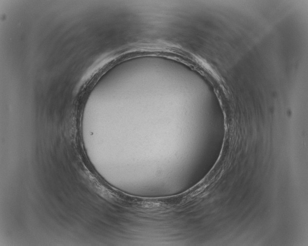 X0000083611456200703051531