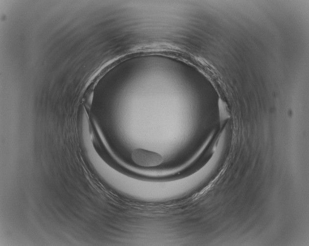 X0000083611457200703051531