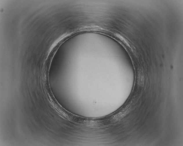 X0000083611458200703051531