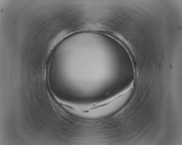 X0000083611459200703051531