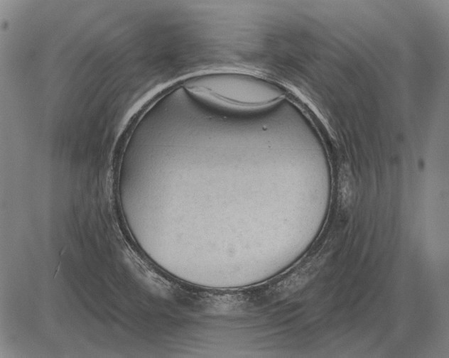 X0000083611460200703051531