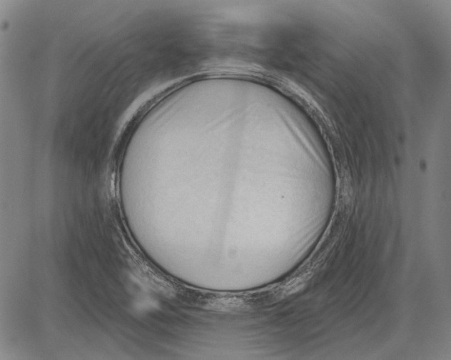 X0000083611462200703051531