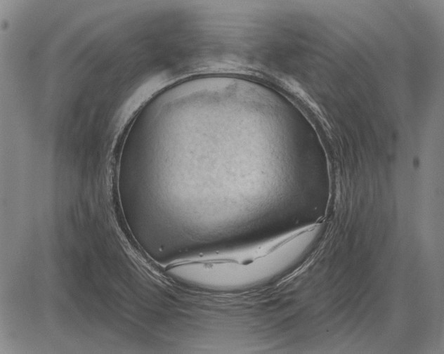 X0000083611463200703051531