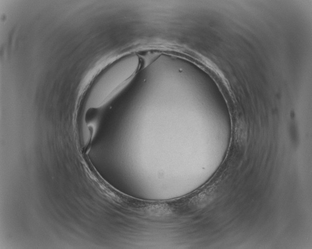 X0000083611464200703051531