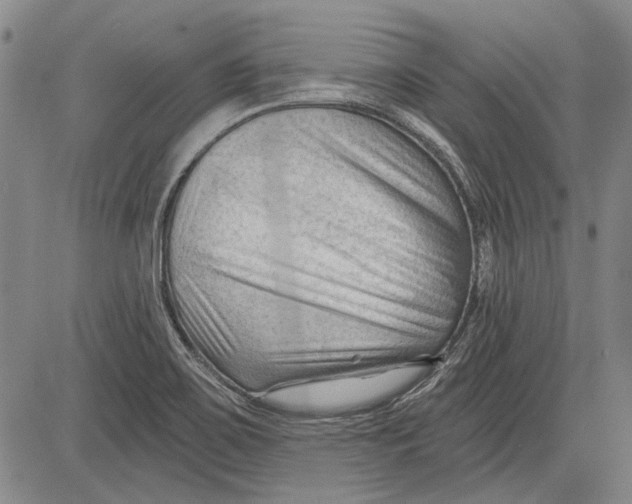 X0000083611467200703051531