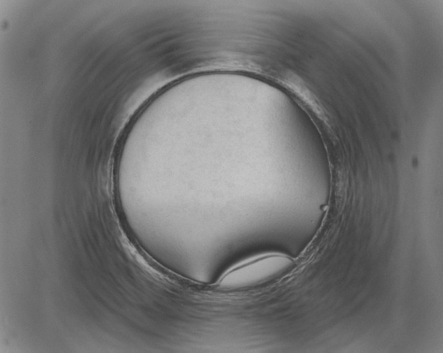 X0000083611468200703051531