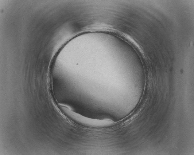 X0000083611469200703051531