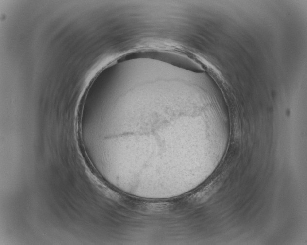 X0000083611471200703051531