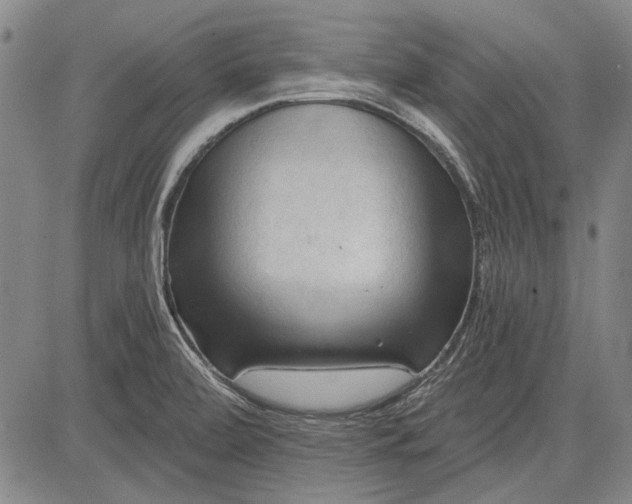 X0000083611472200703051531