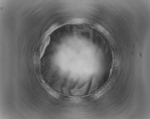 X0000083611473200703051531