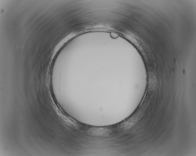 X0000083611474200703051531