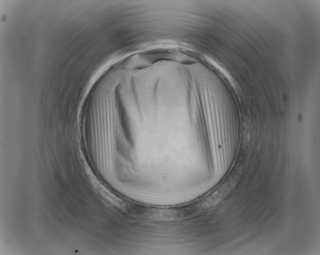 X0000083611475200703051531