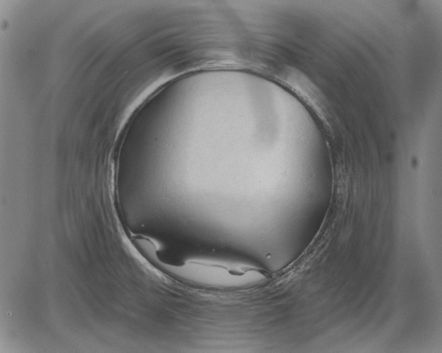 X0000083611476200703051531