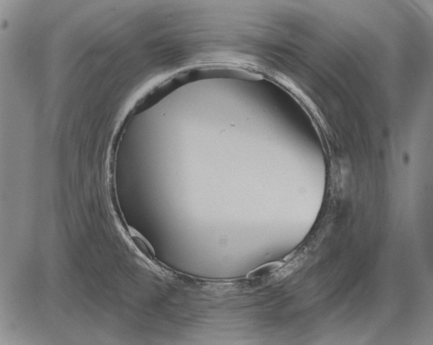 X0000083611477200703051531