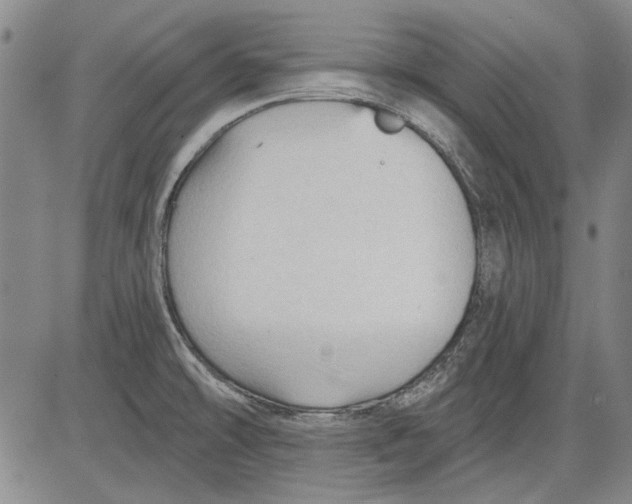 X0000083611478200703051531