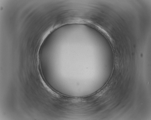 X0000083611479200703051531