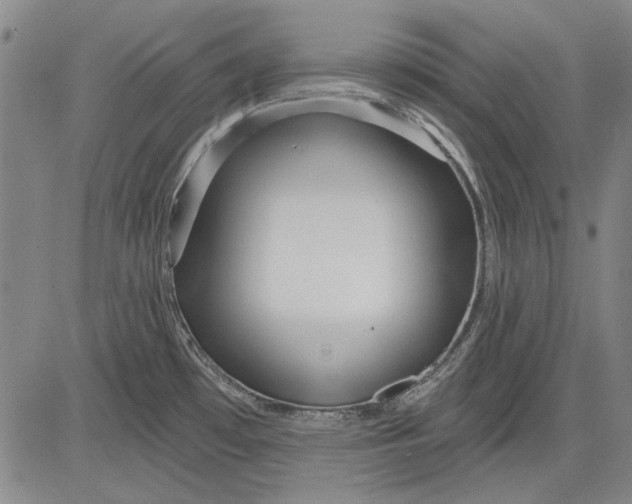 X0000083611481200703051530