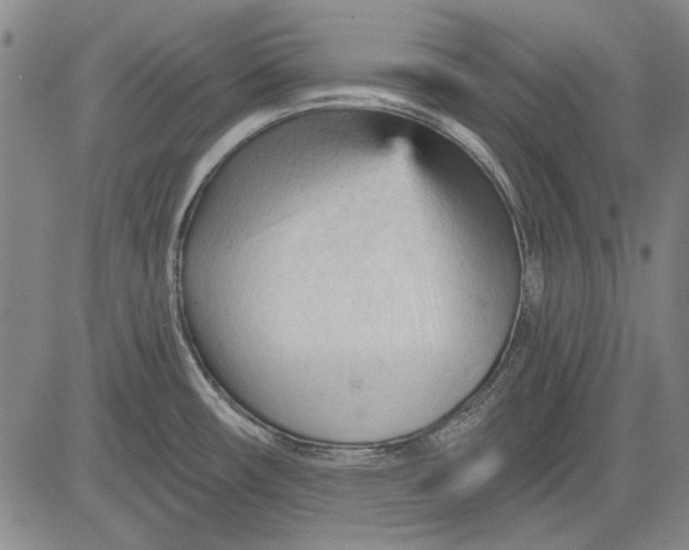 X0000083611482200703051530