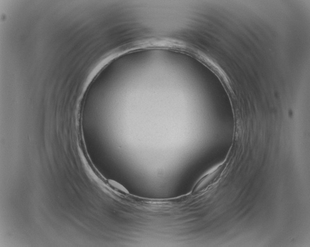 X0000083611483200703051530