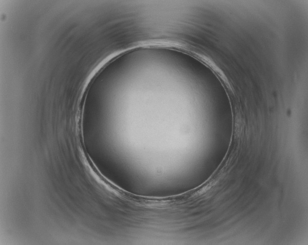 X0000083611484200703051530