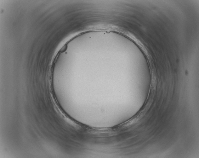 X0000083611486200703051530