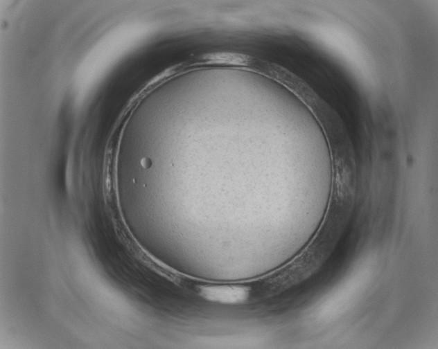 X0000083611487200703051530