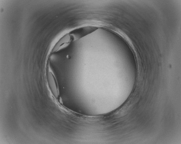 X0000083611488200703051530