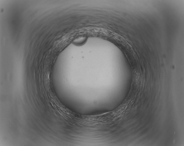 X0000083611489200703051530