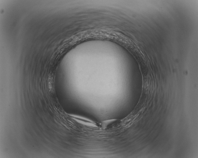 X0000083611490200703051530