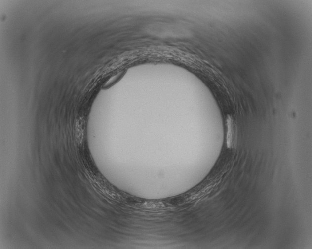 X0000083611491200703051530