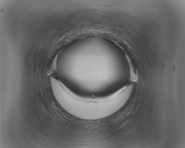 X0000083611492200703051530