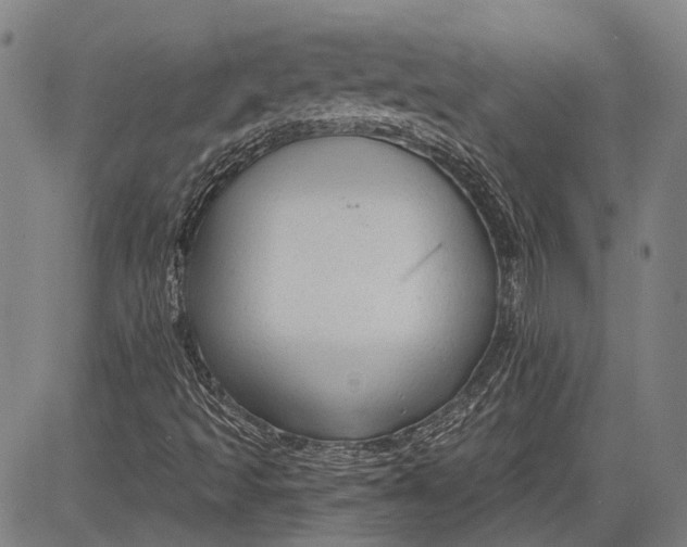 X0000083611493200703051530