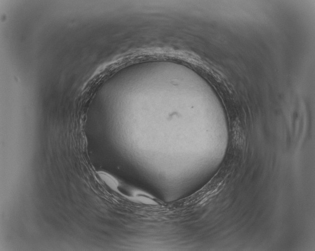 X0000083611494200703051530