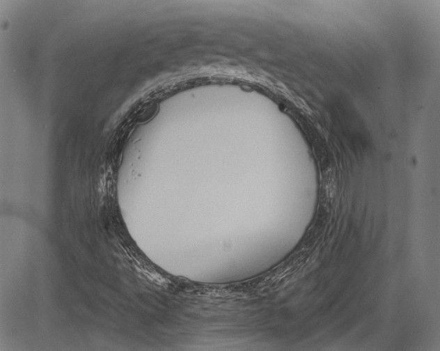 X0000083611495200703051530