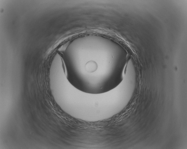 X0000083611496200703051530