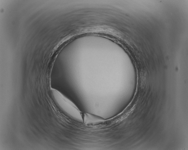 X0000083611497200703051530