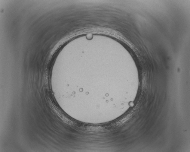 X0000083611498200703051530