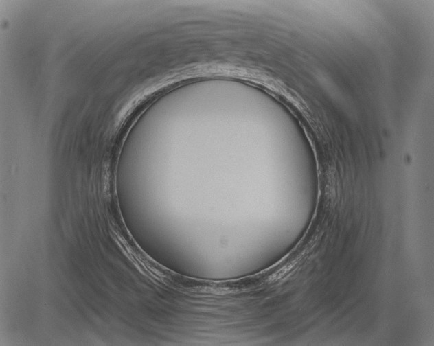 X0000083611499200703051530