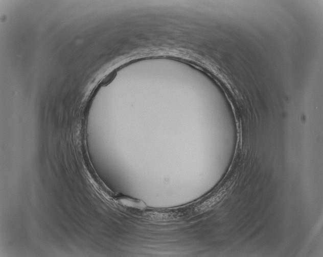 X0000083611500200703051530