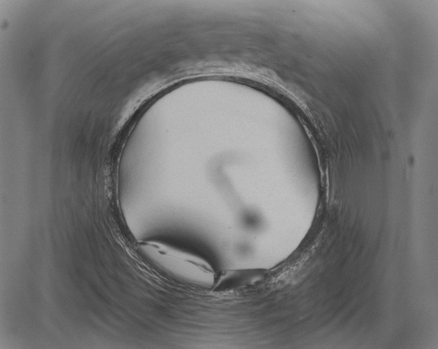 X0000083611501200703051530