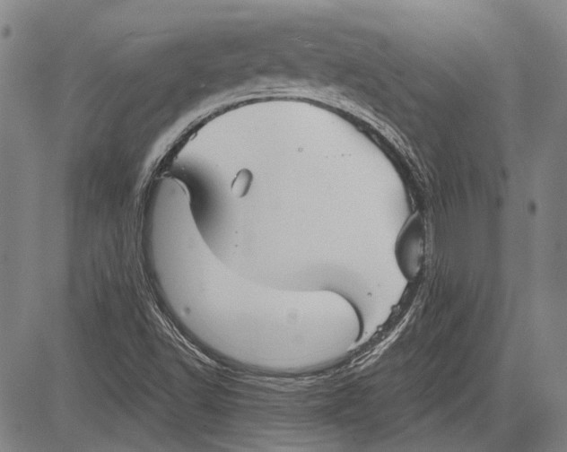 X0000083611502200703051530