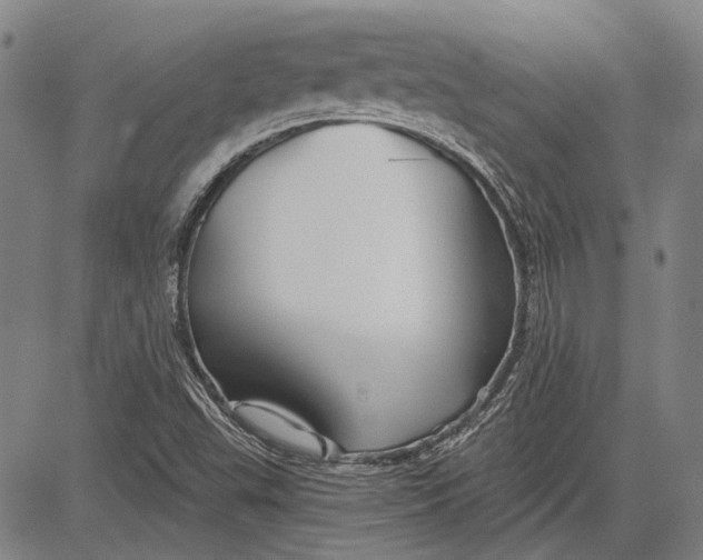 X0000083611503200703051530