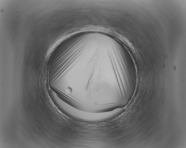 X0000083611504200703051530