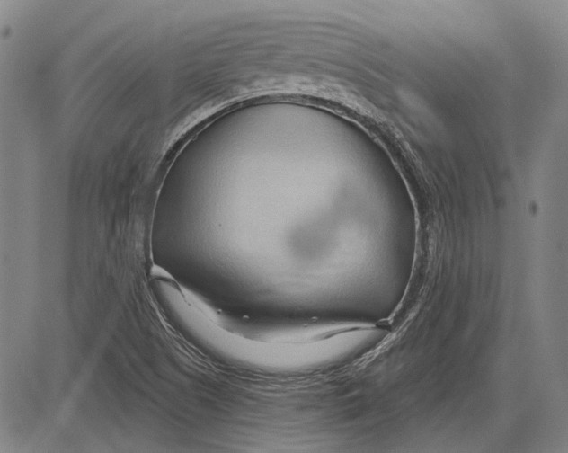 X0000083611505200703051530