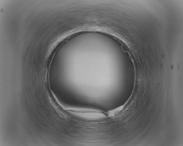 X0000083611507200703051530