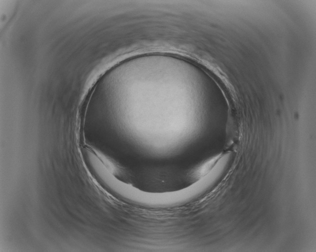 X0000083611508200703051530