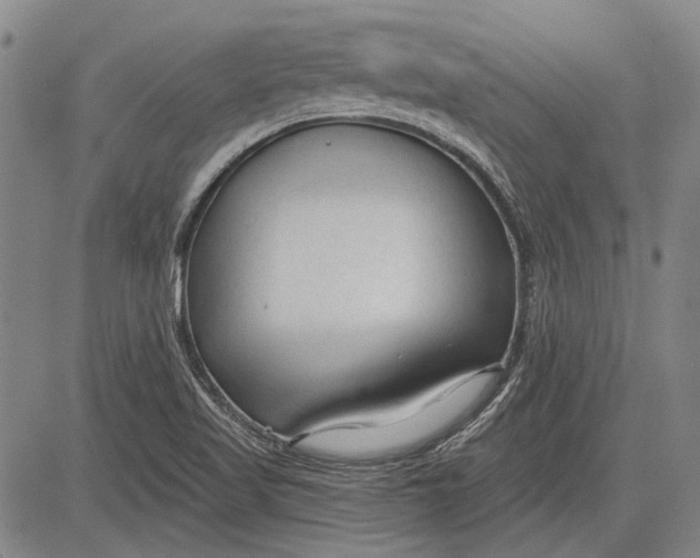 X0000083611509200703051530